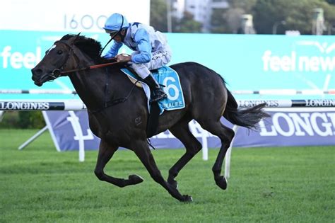 queen of the turf stakes winners|Queen Of The Turf Stakes Winners Past Results back to1972.